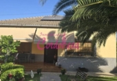 Chalet independiente con terreno en venta en la España, La Carlota, ref: TR415059 foto