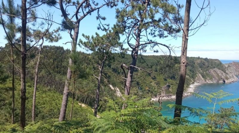 Astúries - Cudillero - 750m2