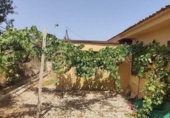 Finca rústica en venta en la España, Benidorm, ref: TR289822 foto