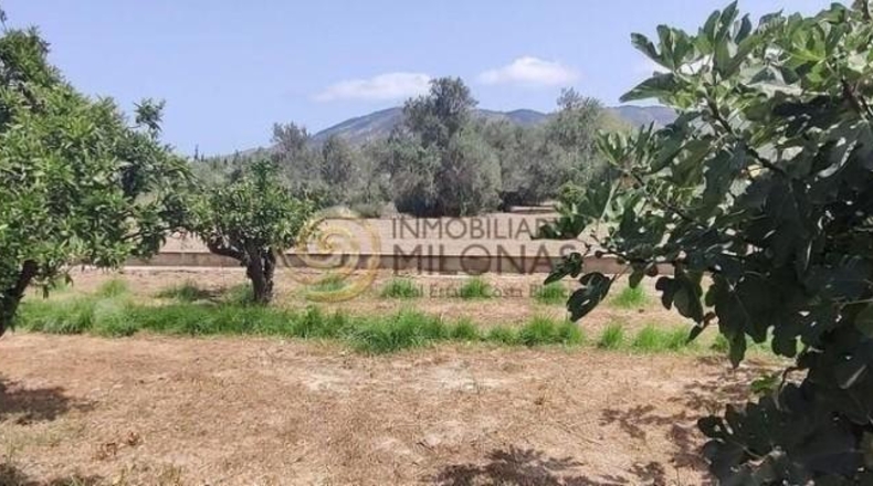 Alicante - Benidorm - 3226m2
