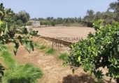 Finca rústica en venta en la España, Benidorm, ref: TR289822 foto