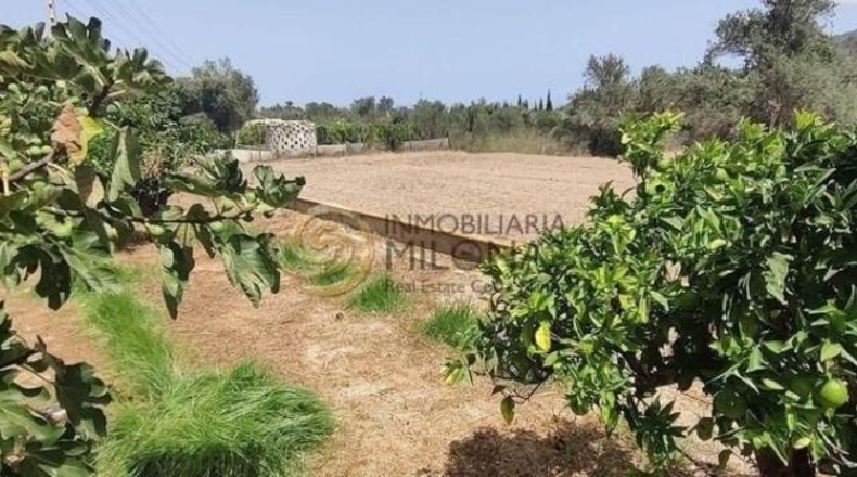 Alicante - Benidorm - 3226m2
