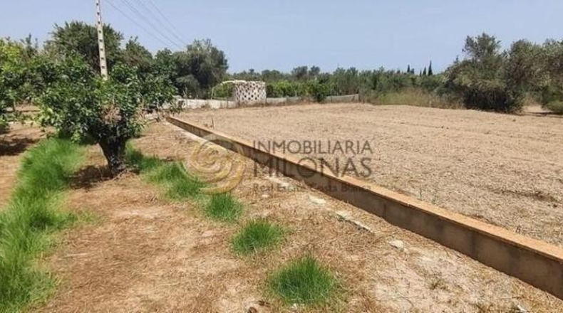 Alicante - Benidorm - 3226m2