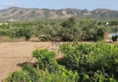 Finca rústica en venta en la España, Benidorm, ref: TR289822 foto