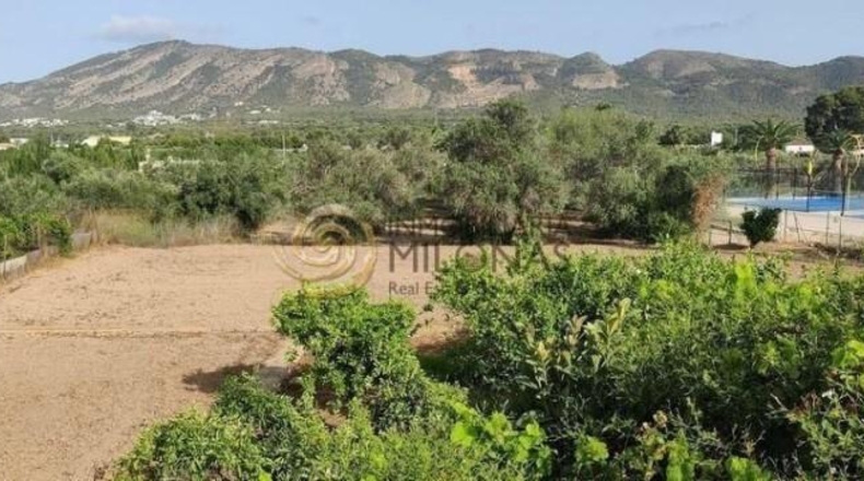 Alicante - Benidorm - 3226m2