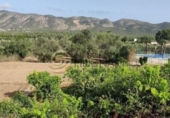 Finca rústica en venta en la España, Benidorm, ref: TR289822 foto