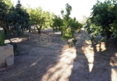 Finca rústica en venta en la España, Benidorm, ref: TR289822 foto