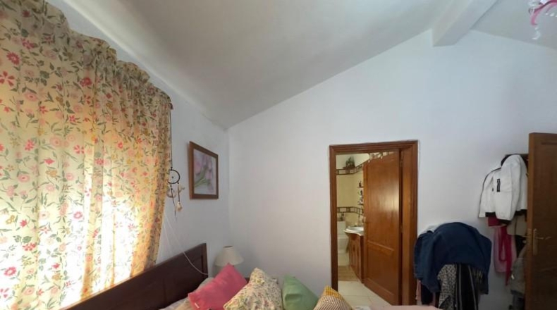 Santa Creu de Tenerife - Сан-Кристобаль-де-Ла-Лагуна - 600m2