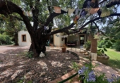 Casa de camp amb terreny en venda a la España, Estepona, ref.: TR383772 foto