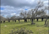 Terreno no urbanizable en venta en la España, Galapagar, ref: TR169705 foto