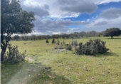 Terreno no urbanizable en venta en la España, Galapagar, ref: TR169705 foto