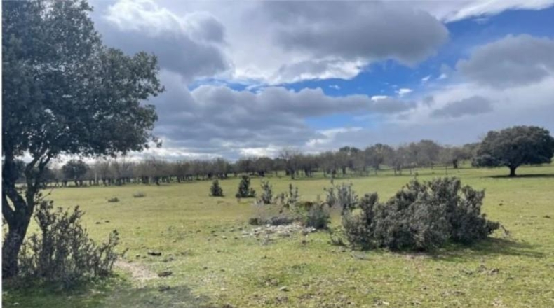 Comunidad de Madrid - Galapagar - 223247m2