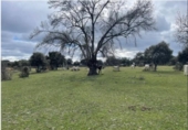 Terreno no urbanizable en venta en la España, Galapagar, ref: TR169705 foto