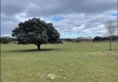 Terreno no urbanizable en venta en la España, Galapagar, ref: TR169705 foto