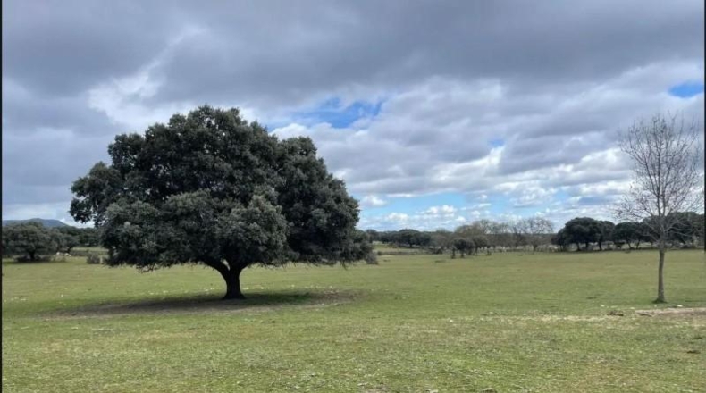Comunidad de Madrid - Galapagar - 223247m2