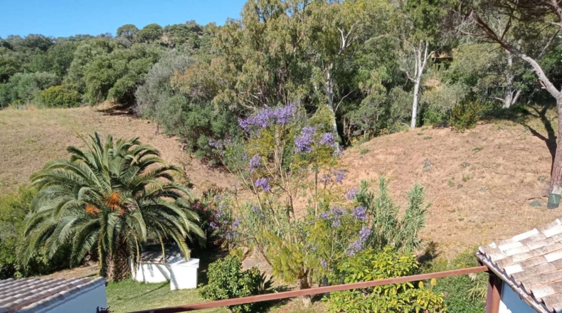 Málaga - Gaucín - 24990m2