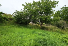 Sucamiño 3100&nbsp;m²