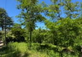 Suelo urbano en venta en la Can Cortes, Sant Cugat del Vallès, ref: TR415085 foto