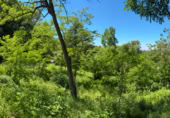 Suelo urbano en venta en la Can Cortes, Sant Cugat del Vallès, ref: TR415085 foto