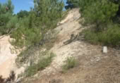Terreno no urbanizable en venta en la , Carabias, ref: TR415087 foto