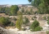Terreno no urbanizable en venta en la , Carabias, ref: TR415087 foto