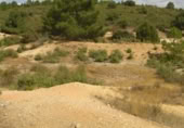 Terreno no urbanizable en venta en la , Carabias, ref: TR415087 foto
