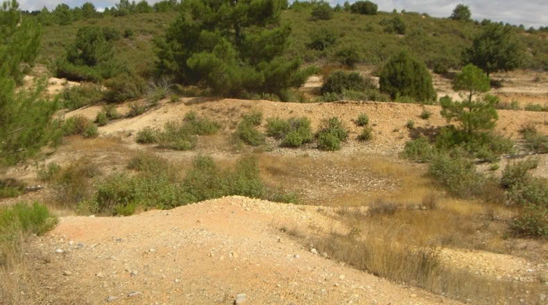 Segòvia - Carabias - 31400m2