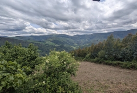 Foto 20