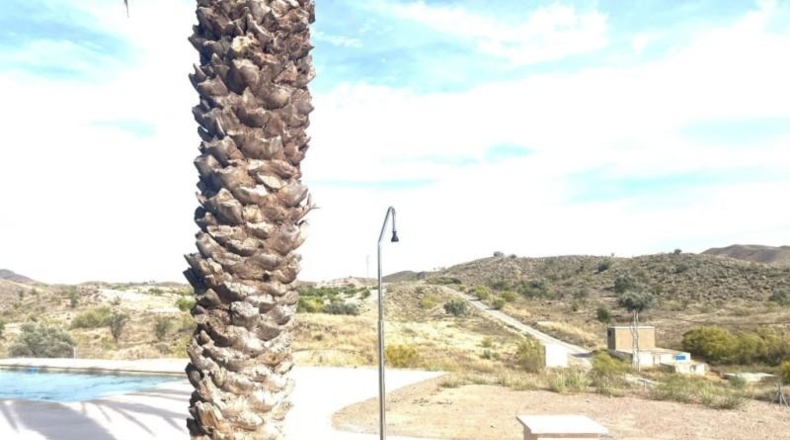 Almeria - Albox - 3000m2