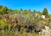Terreno no urbanizable en venta en la España, el Perelló, ref: TR119143 foto