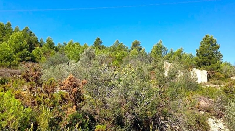 Tarragona - el Perelló - 14379m2