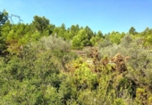 Terreno no urbanizable en venta en la España, el Perelló, ref: TR119143 foto
