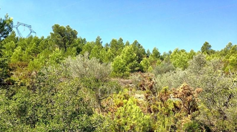 Tarragona - el Perelló - 14379m2