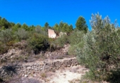 Terreno no urbanizable en venta en la España, el Perelló, ref: TR119143 foto