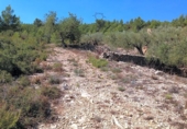 Terreno no urbanizable en venta en la España, el Perelló, ref: TR119143 foto