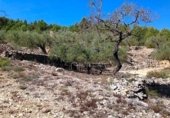 Terreno no urbanizable en venta en la España, el Perelló, ref: TR119143 foto