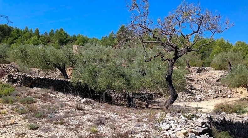 Tarragona - el Perelló - 14379m2