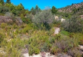 Terreno no urbanizable en venta en la España, el Perelló, ref: TR119143 foto