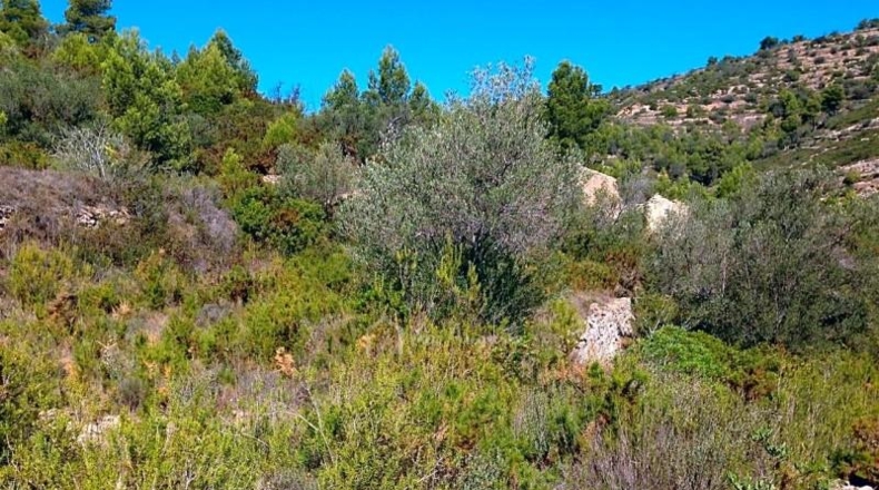 Tarragona - el Perelló - 14379m2