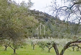 Cervera del Maestre 68751&nbsp;m²