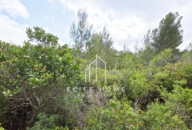 Cervera del Maestre 68751&nbsp;m²
