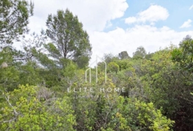 Cervera del Maestre 68751&nbsp;m²