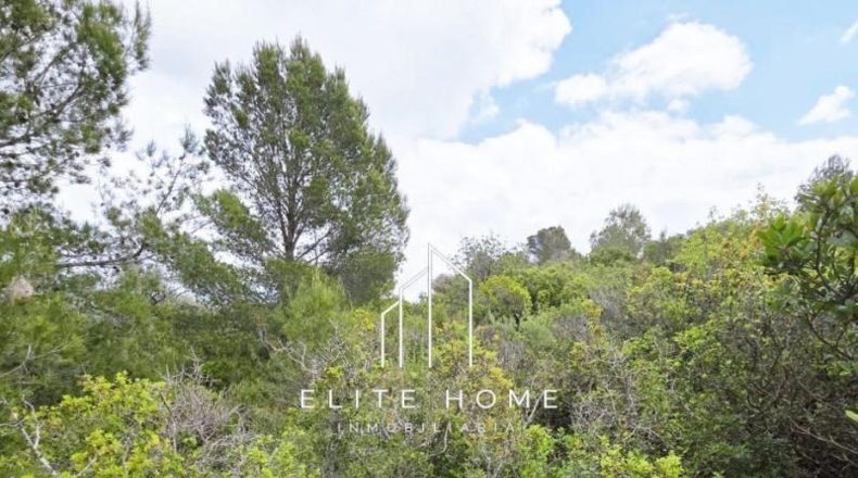 Castellón - Cervera del Maestre - 68751m2