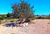 Terreno no urbanizable en venta en la España, Altea, ref: TR415097 foto