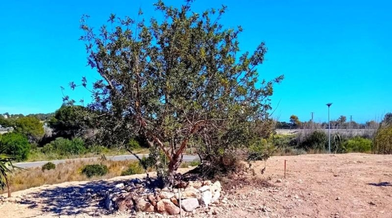 Alicante - Altea - 3000m2