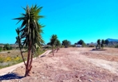 Terreno no urbanizable en venta en la España, Altea, ref: TR415097 foto