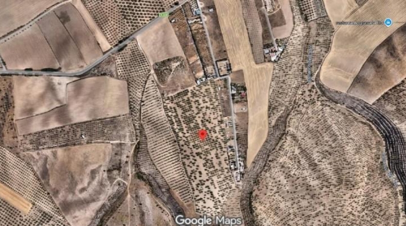 Гранада - Los Llanos - 16276m2