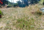 Chalet independiente con terreno en venta en la España, Massanes, ref: TR415109 foto