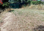 Chalet independiente con terreno en venta en la España, Massanes, ref: TR415109 foto