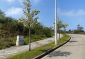 Suelo urbano en venta en la España, Santa Cruz de Bezana, ref: TR309420 foto